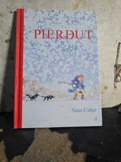 Pierdut - Sam Usher