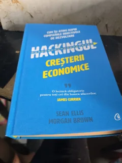 Hackingul creșterii economice - Sean Ellis, Morgan Brown