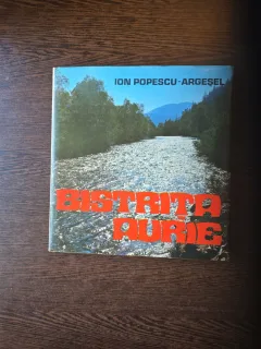 Bistrița Aurie - Ion Popescu-Argesel