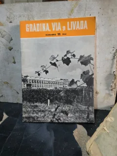Gradina, via si livada 11/1960