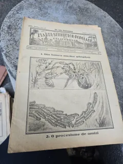 Ziarul Științelor și al Călătoriilor nr.18/1923