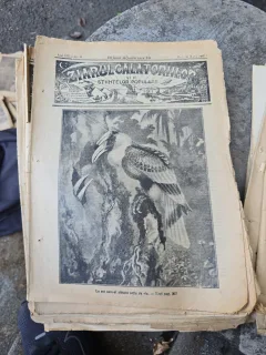 Ziarul călătorilor nr.20/1913