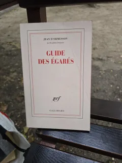 Guide des égarés - Jean d/Ormesson
