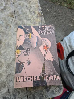 Urechea de cârpa - Nichita Danilov