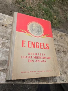 Situația clasei muncitoare din Anglia - F. Engels