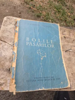 Bolile păsărilor - V. Stoenescu, A. Niculescu