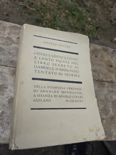 Cento e cento e cento e cento pagine del libro segreto di Gabriele D/Annunzio tentato di morire - Angelo Cocles