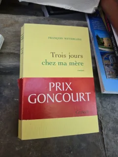 Trois jours chez ma mère - François Weyergans