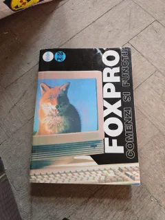 FoxPro: Comenzi și funcții