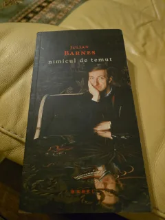 nimicul de temut - Julian Barnes
