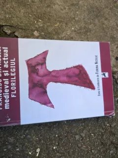 Francisc din Assisi medieval și actual - Florina Nicolăe