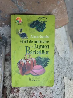 Ghid de orientare în Lumea Bărbaților - Alison Grambs