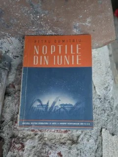 Nopțile din iunie - Petru Dumitriu