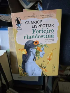 Fericire clandestină - Clarice Lispector