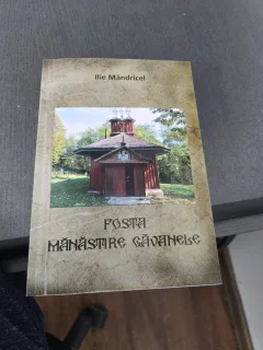 Fosta mănăstire Găvanele - Ilie Mândricel