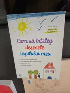Cum să înțeleg desenele copilului meu - René Baldy