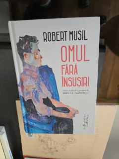 Omul fără însușiri - Robert Musil
