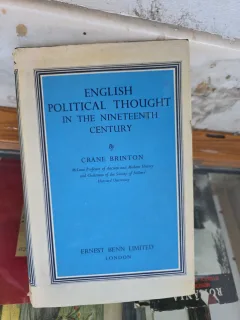English Political Thought in the Nineteenth Century - Crane Brinton