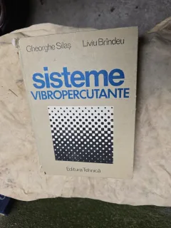 Sisteme Vibropercutante - Gheorghe Silăș, Liviu Brându