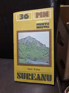 Muntii Sureanu - Valer Trufas
