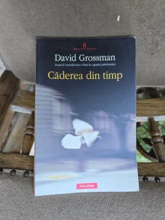 Căderea din timp - David Grossman