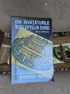 Din învățăturile înțelepților evrei - Rabi Rami Shapiro