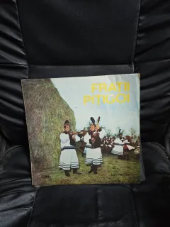 Vinil Fratii Pitigoi