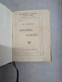 Drumul iubirii/Predare/Oameni care au fost - G. Coșbuc/Al. Vlahuta/ Nicolae Iorga - texte colegate