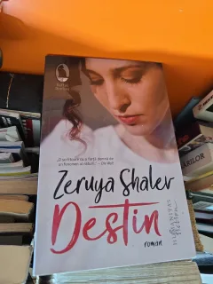 Destin - Zeruya Shalev