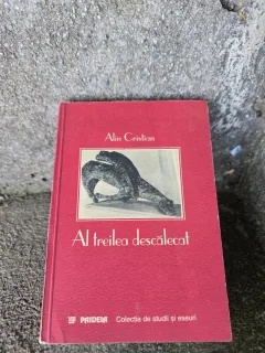 Al treilea descălecat - Alin Cristian