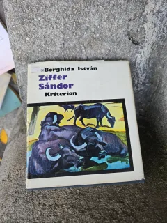 Ziffer Sándor - Borghida István
