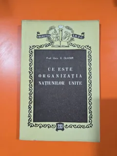 Ce este organizatia Natiunilor Unite - Prof. Univ. E. Glaser
