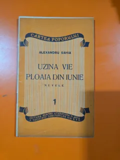 Uzina vie ploaia din iunie (nuvele) - Alexandru Sahia