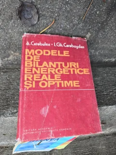 Modele de balante energetice reale si optime - A. Carabulea & I. Gh. Carabogdan