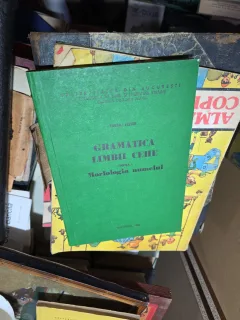 Gramatica limbii cehe. Partea I. Morfologia numelui - Tiberiu Pletner