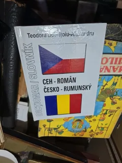 Dicționar Ceho-Român - Teodora Bonțoiu-Alexandru