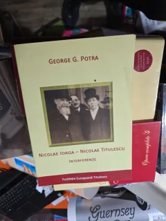 Nicolae Iorga - Nicolae Titulescu. Interferențe - George G. Potra
