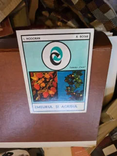 Zmeurul și agrisul - I. Modoran, A. Botar