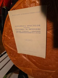Alegerea speciilor pentru lucrările de împăduriri - Ministerul Economiei Forestiere