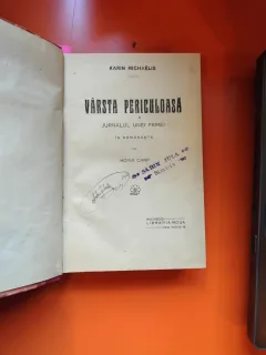 Vârsta periculoasă - Karin Michaëlis