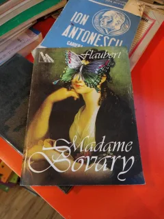 Madame Bovary - Gustave Flaubert