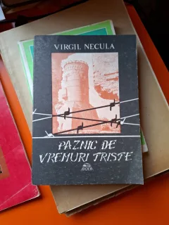 Paznic de vremuri triste - Virgil Necula