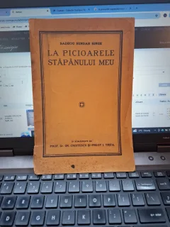 La picioarele stăpănului meu - Sadhou Sundar Singh