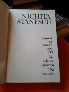 Frumos ca umbra unei idei - Nichita Stănescu