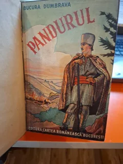 Pandurul - Bucura Dumbrava