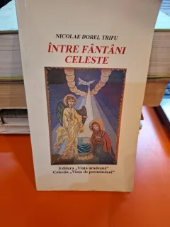 Între fântâni celeste - Nicolae Dorel Trifu