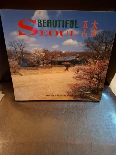 Beautiful Seoul - Sung Min
