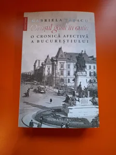 Orașul găsit în cutie - Gabriela Tabacu