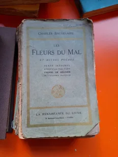 Les Fleurs du Mal (text in limba franceza) - Charles Baudelaire