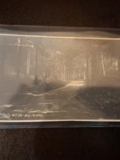 Carte Postala Slanic-Moldova Trei Fagi - (necirculata)